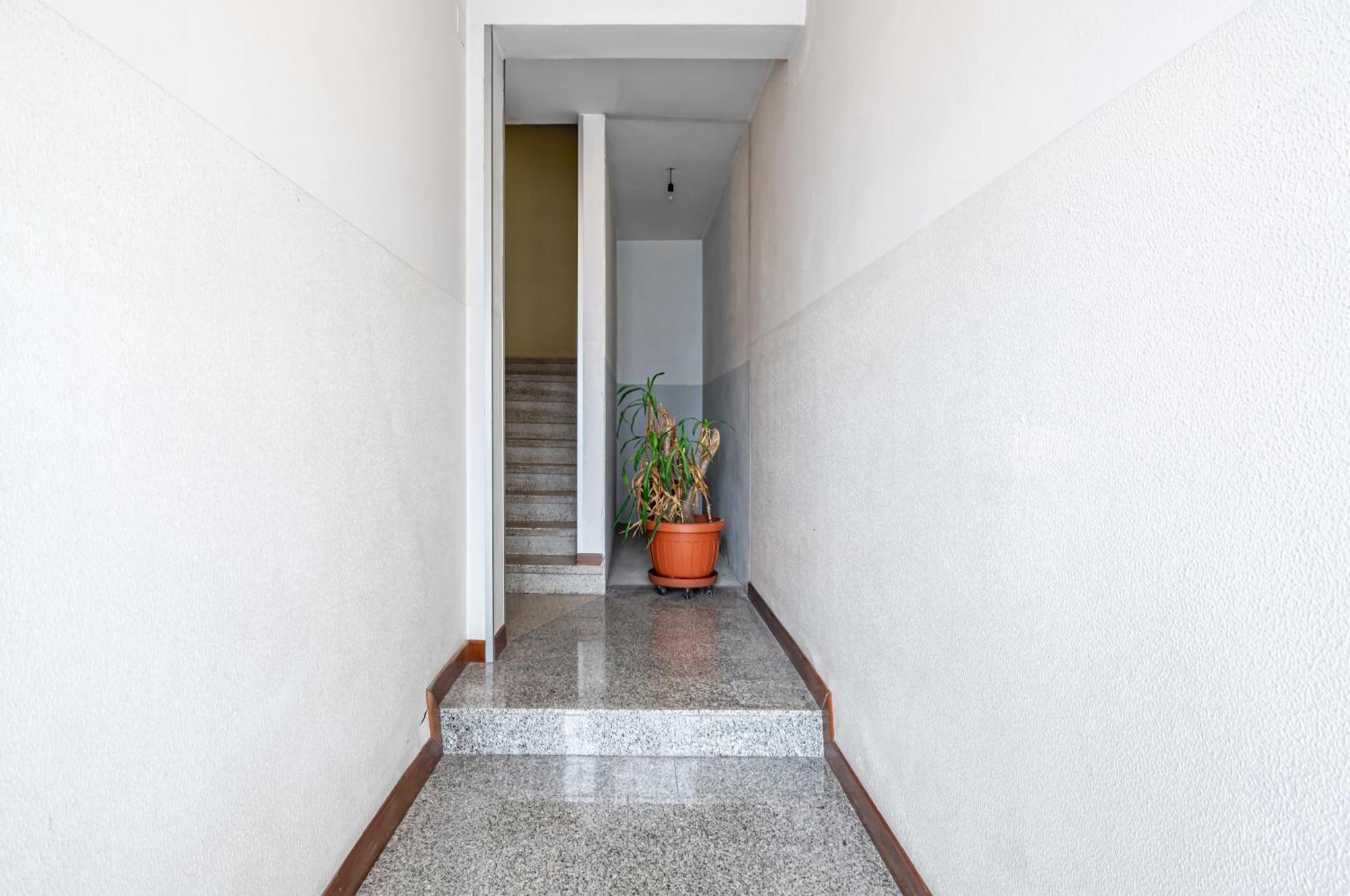 Apartment San Vincenzo 1 - 2 - 4